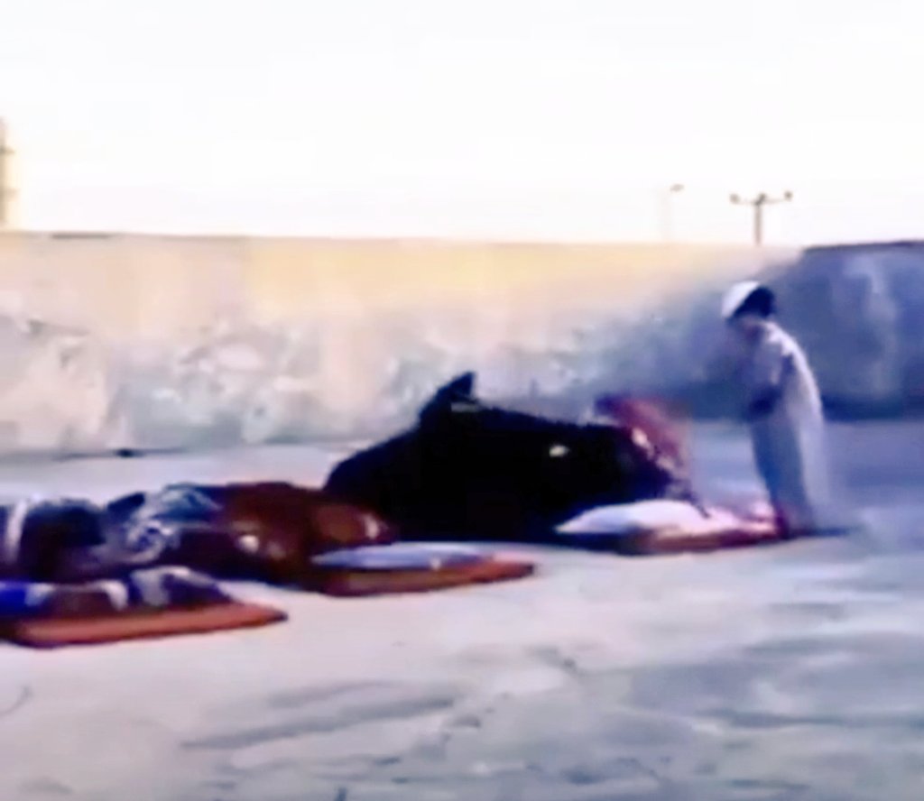 .... النوم بالسطوح ايام البساطة