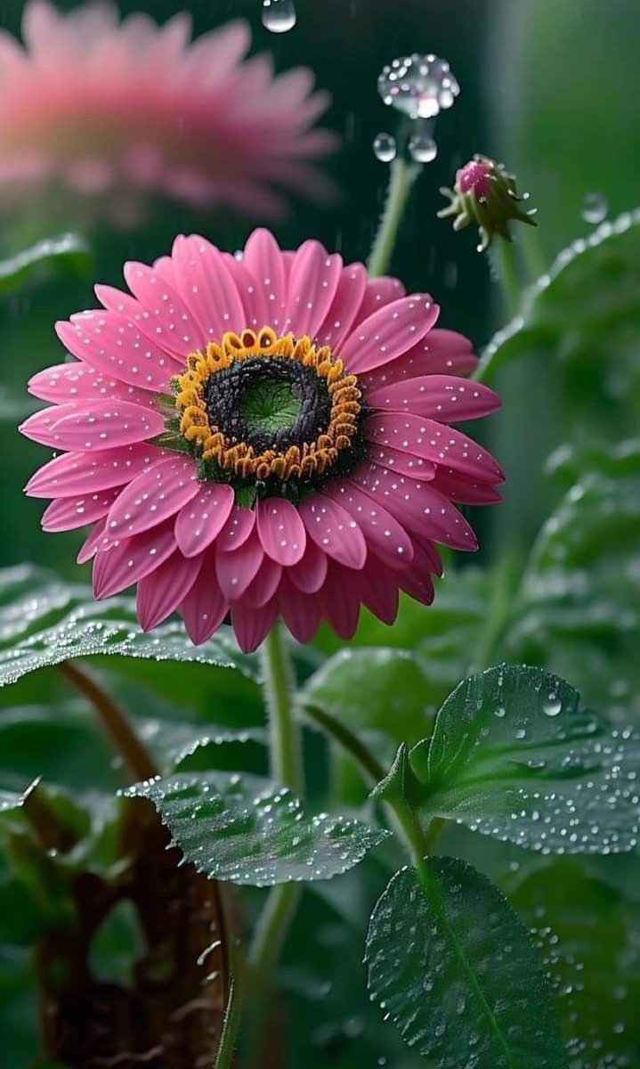 Sweet nature (@nature6260) on Twitter photo 