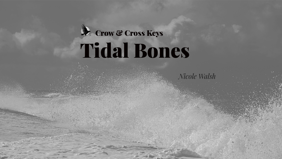 We've been given many a gift from the sea. Shells, driftwood, messages in bottles that were meant for the thing that lives deep beneath the tower. The usual. On the sea and its gifts, today's short story...

"Tidal Bones" by Nicole Walsh

crowcrosskeys.com/2025/05/31/tid…