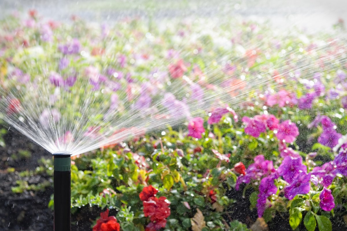 💧Help protect our water system:

1️⃣ Set lawn watering to start between 12am and 3am
2️⃣ Start at odd times (ie. 2:23)
3️⃣ Water other plants on non-lawn days

🔗 crd.ca/water