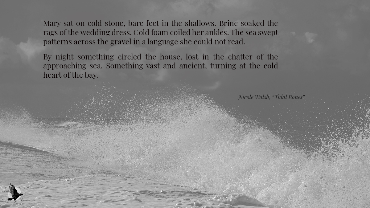 Your cursor circles the link. Click it.

crowcrosskeys.com/2025/05/31/tid…