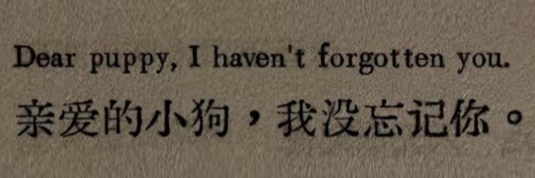 erro🇭🇰 (@bananan_bi76591) on Twitter photo 