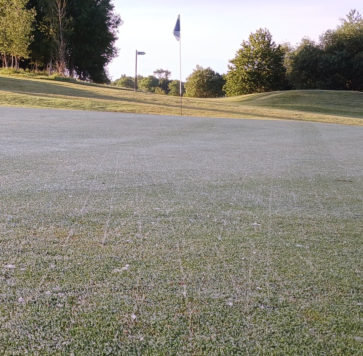 Ashley Hammond tweet media