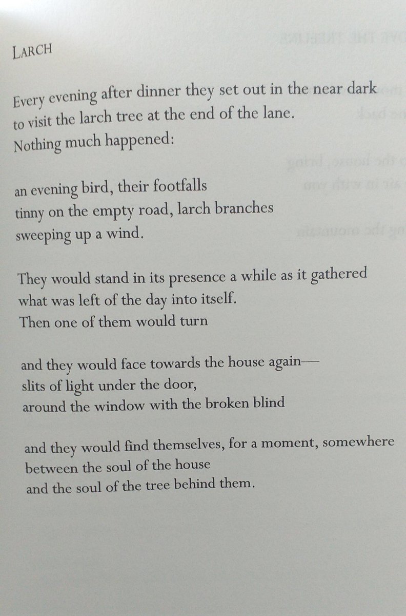 PAGE & STAGE NI (@acniwriting) on Twitter photo Congratulations to Belfast-born Nora Hughes on her second collection Above the Tree Line (<a href="/TemplarPoetry/">Templar Poetry</a>) launched today Congratulations to Belfast-born Nora Hughes on her second collection Above the Tree Line (<a href="/TemplarPoetry/">Templar Poetry</a>) launched today