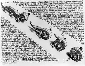 Vandaag was er een hele Spuigasten-uitzending over de toekomst van de voormalige Amerikaanse ambassade en het Eschermuseum. Kreeg ook de onverwachte vraag  wat mijn favoriete Escher-werk is. Waarop ik reageerde: 'die rollende beestjes'! 😅