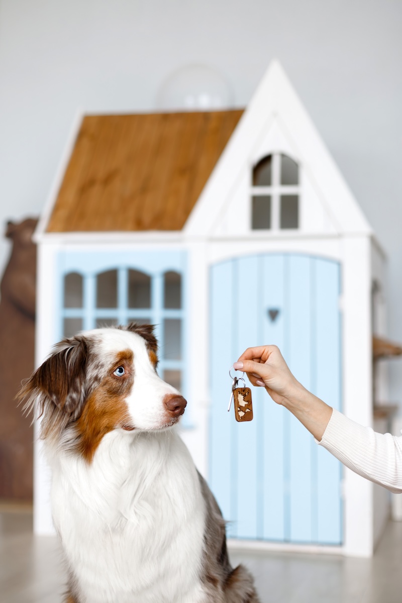 Escrow officers do not represent the buyer or seller specifically but instead remain impartial to ensure everything follows state laws and the terms of the purchase agreement. #RealEstate #HousingMarket #InterestRates  bit.ly/3SwRZ6B