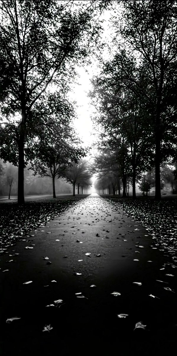 lida1xs's tweet photo. A different work and a different perspective..🅛 https://t.co/g7nHlSoRym