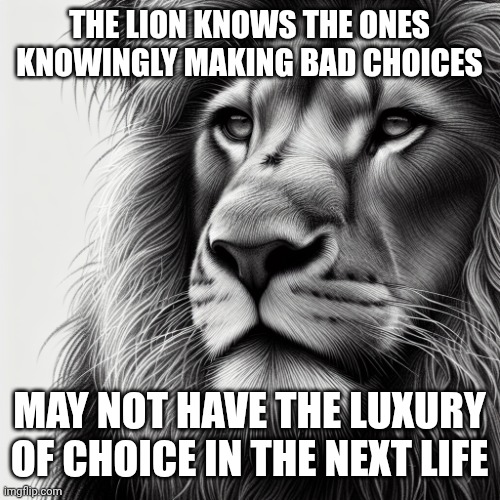 The Soul Whisperer (@desoulwhisperer) on Twitter photo 
