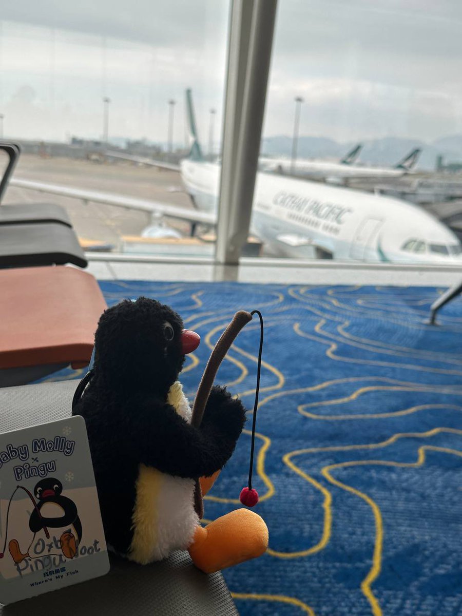 Here we go🥳 Pingu Footprint event starts today! $noot