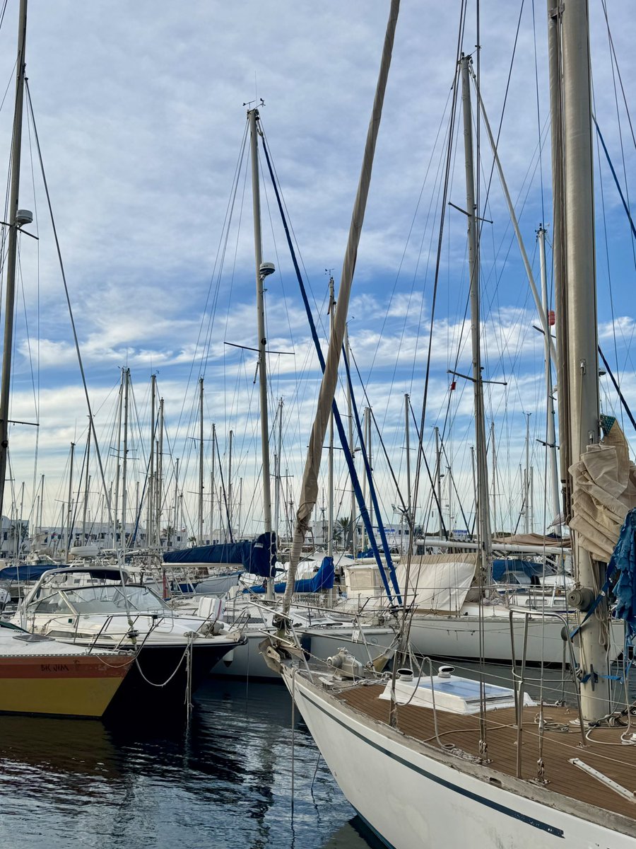 Rihab Nasri tweet media