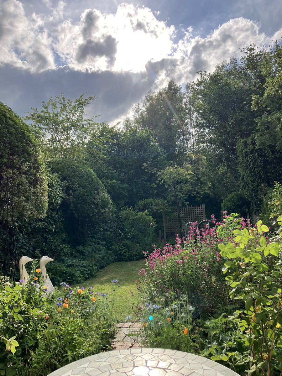 mhauser_author's tweet image. 