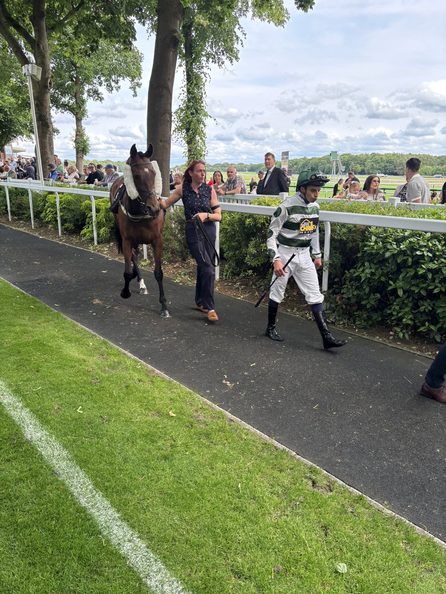 Very good 5th for 🎸 🎶 at Haydock for @SummstormBlo1 and <a href="/JimGoldieRacing/">Jim Goldie Racing</a>  💚🤍