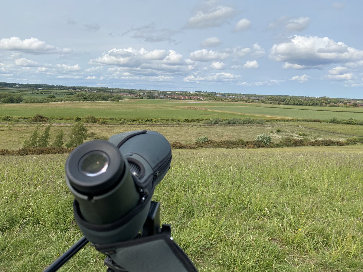 WhitleyBirder's tweet image. The curtain comes down on a very quiet May! An afternoon on Weetslade hill failed to produce the hoped-for Red Kite, but a Little Egret south over kept a slight bit of interest. Hopefully June produces a rarity or two…