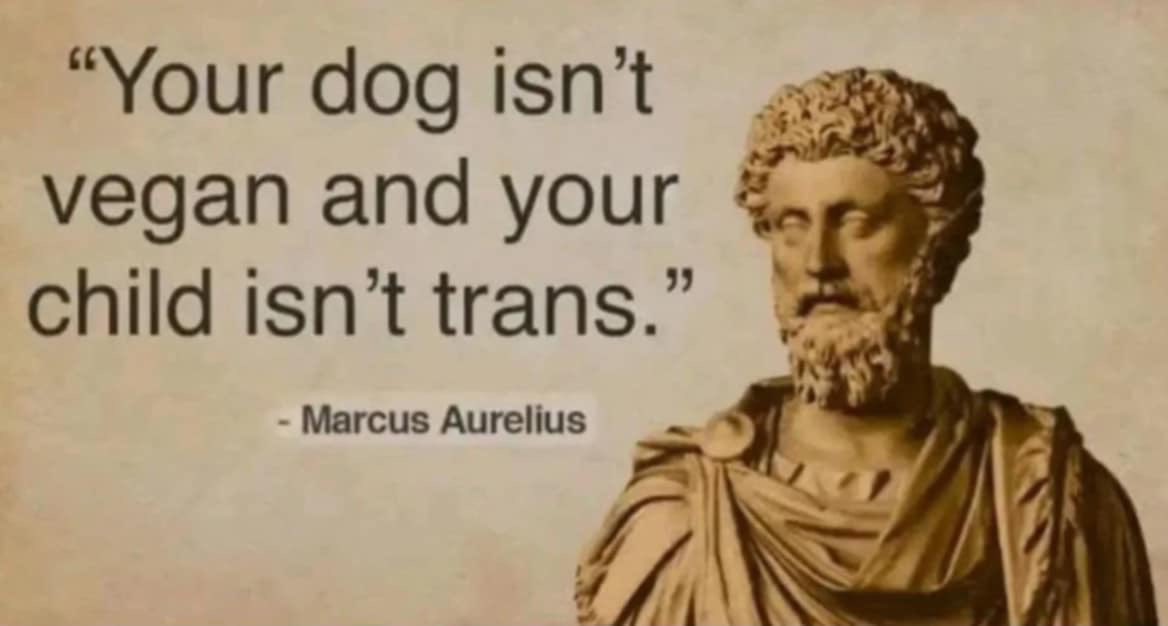 💯