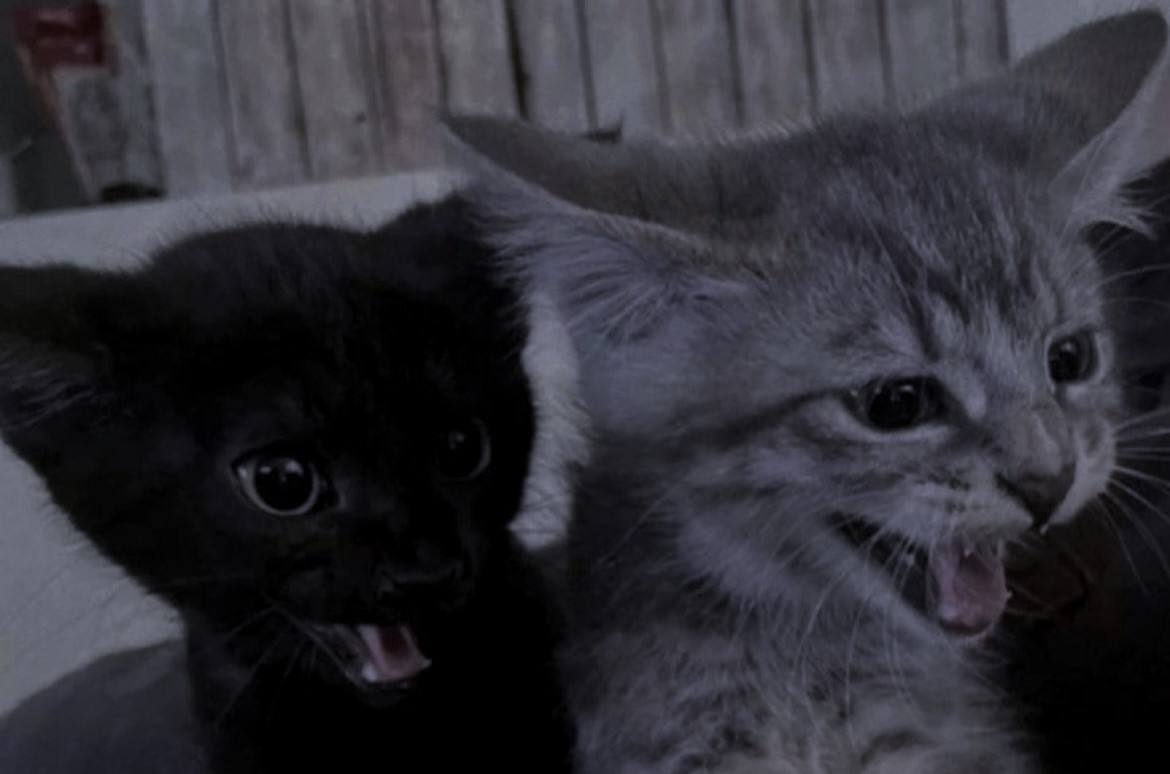 ✞ 🗝️ (@hakaelll) on Twitter photo 