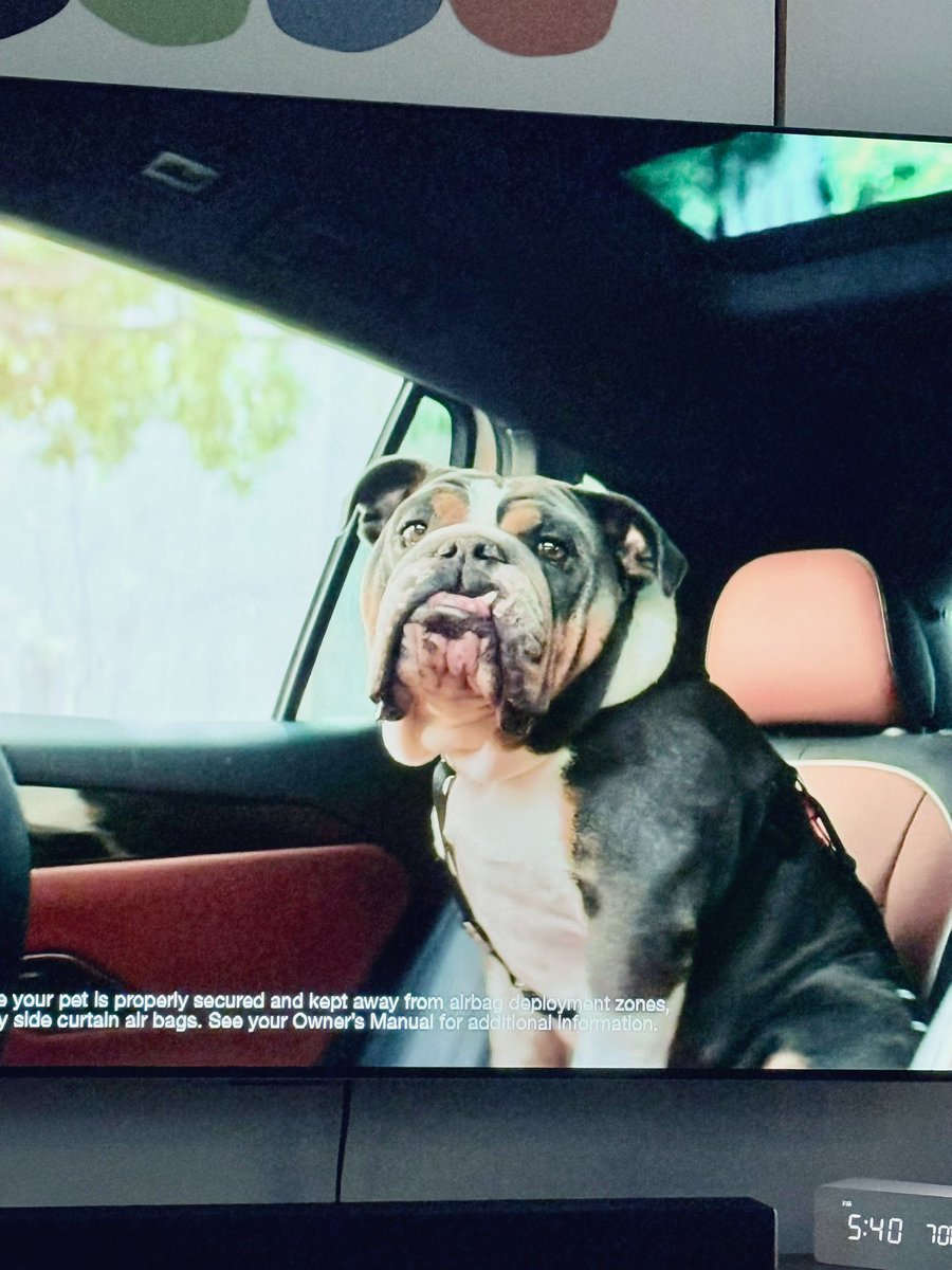 Penelope tweet media