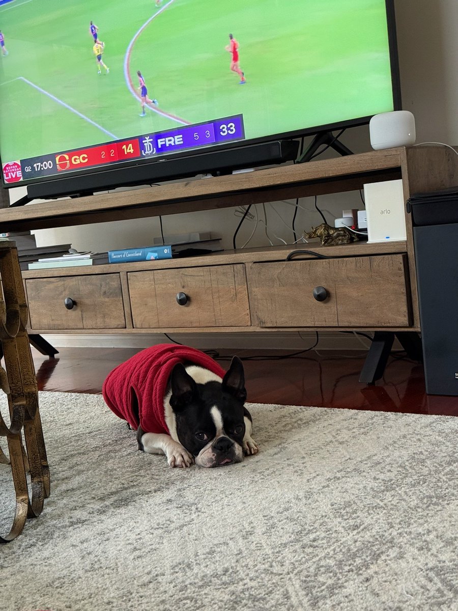nicko_316's tweet photo. My wife sent me this yesterday while I was at the #aflsunsfreo game.
"The dogs a lot calmer now that papa not in the house watching the game"
#foreverfreo https://t.co/xsNiglQLlW