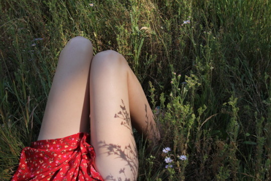 poetical photos. (@poeticalphotos) on Twitter photo 