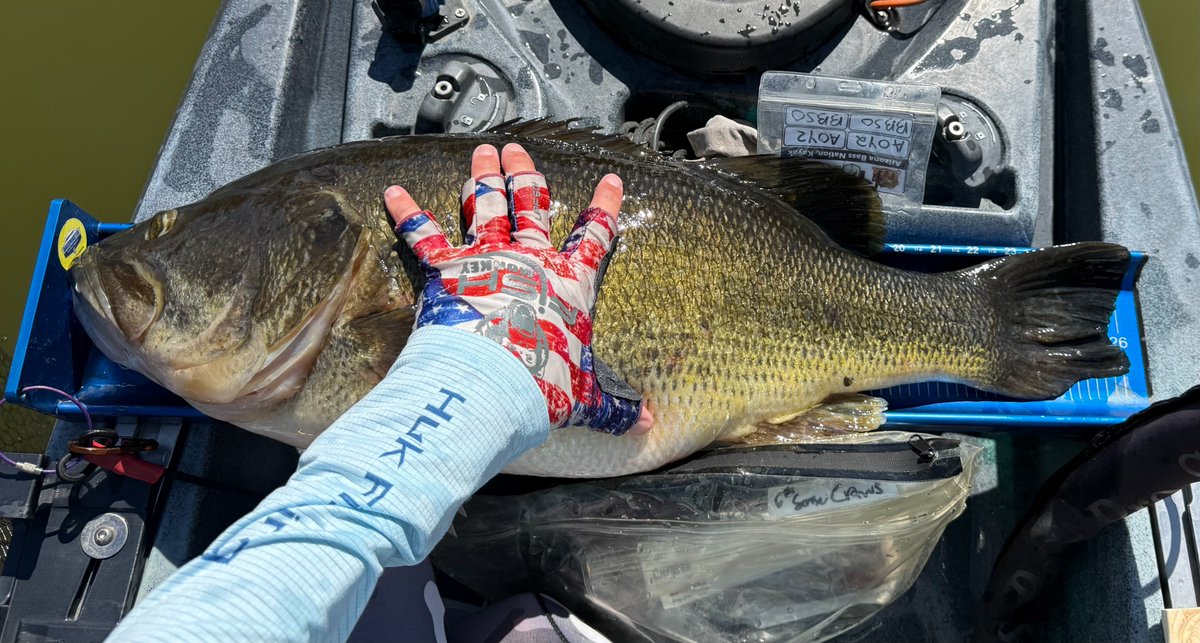 Colton U. with a massive 13+ lb fish on his Ketch X board 😲