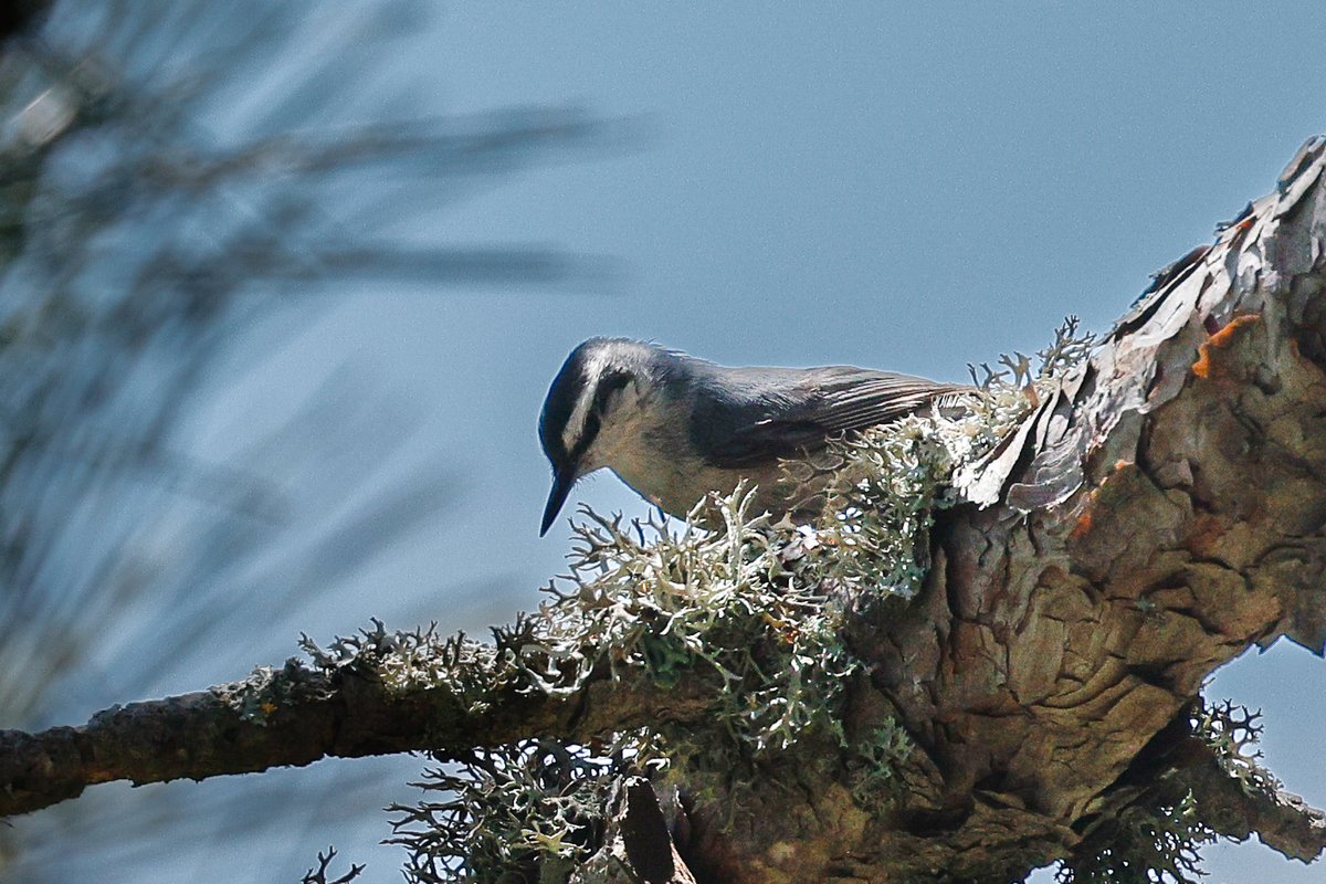 e9doc's tweet image. 