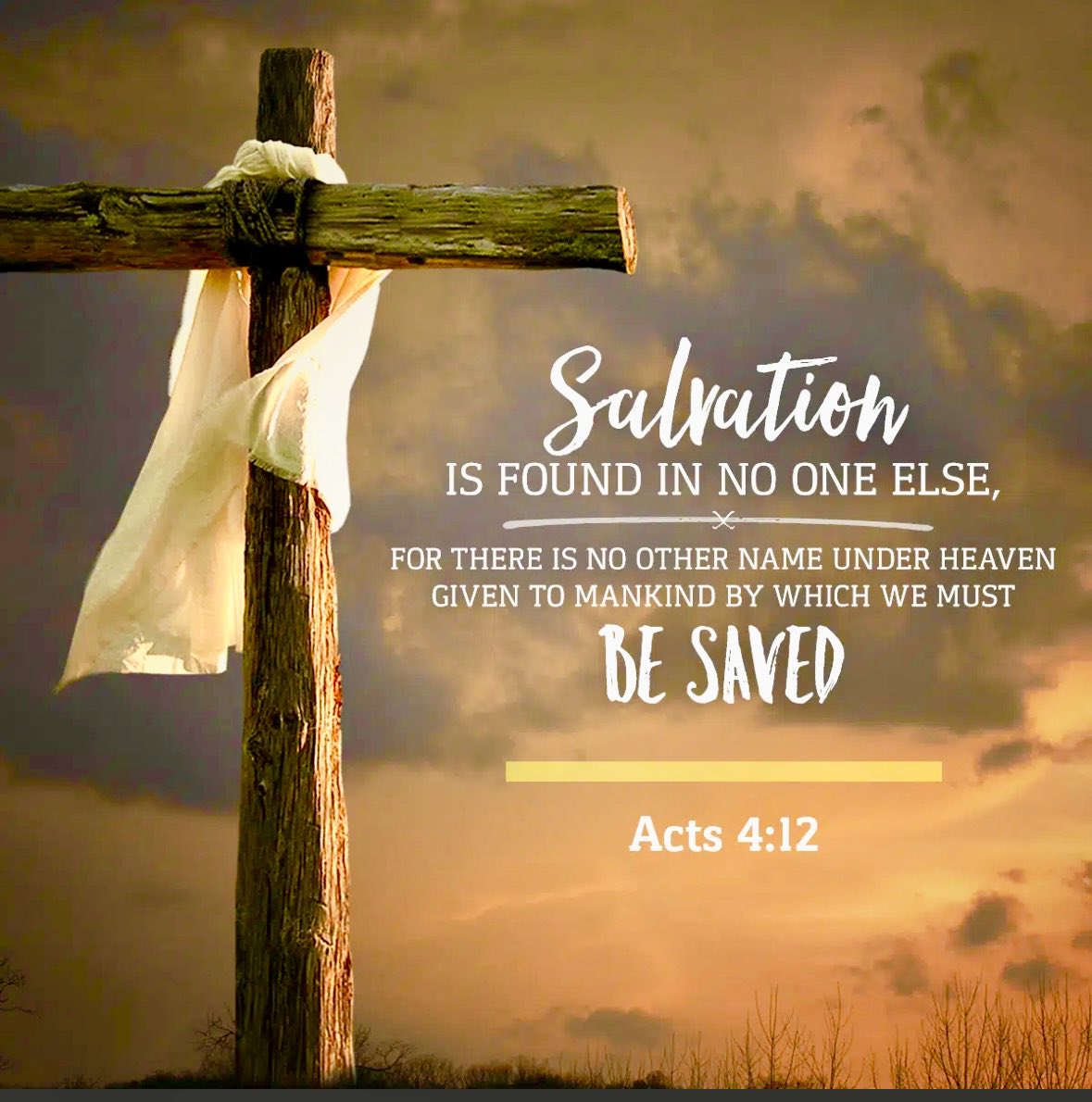 After 35+ years following Jesus, this is what I’ve learned. 
1.ONLY what Jesus did on the cross is what saves us.
2.We can’t work enough to save ourselves.
3.And our end times theology nor which Bible version U read can save you. 
4.Not sure yet?, 
scroll up to #1
✝️🩸🙌🏻