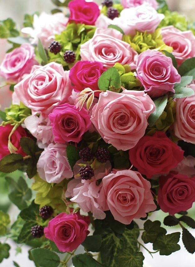 PrincJan (@loeka02) on Twitter photo <a href="/christi19671967/">SummerRose ๐นChristine</a> Thank you so much dear Christine ๐น my apologies for my absence today, it's been a busy day for me๐
Wishing you a very Good morning and a wonderful & blessed Sunday with beautiful moments too
๐งก๐น๐ฟ๐๏ธ๐น๐ฟ๐๏ธ๐งก <a href="/christi19671967/">SummerRose ๐นChristine</a> Thank you so much dear Christine ๐น my apologies for my absence today, it's been a busy day for me๐
Wishing you a very Good morning and a wonderful & blessed Sunday with beautiful moments too
๐งก๐น๐ฟ๐๏ธ๐น๐ฟ๐๏ธ๐งก