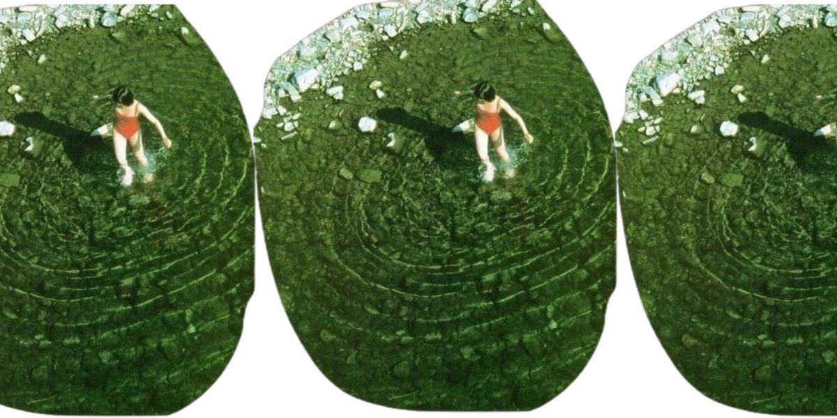 New flower just dropped prestonherbco.com