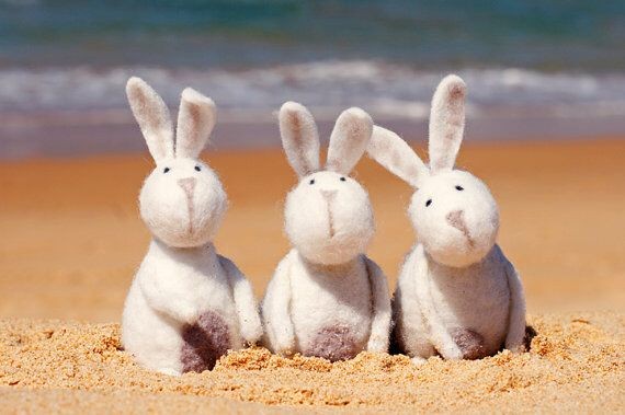 Monthly White Rabbit Reminder! 
June is on the way 🐇🐇🐇 
Time to hit Summer Beaches ⛱️ 
<a href="/sleepy_angel/">🌸sleepyfacedangel</a>  <a href="/DaBearsDimints/">DaBearsDimints</a>