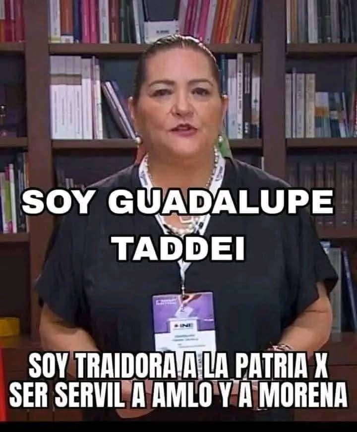 Aletse_04's tweet photo. El currículum VITAE de Guadalupe Taddei por DESGRACIA PARA MÉXICO la @Presidencia_INE #YoNoVotoElPrimeroDeJunio 👇🏼💥🔥 https://t.co/FvarYDa8tX