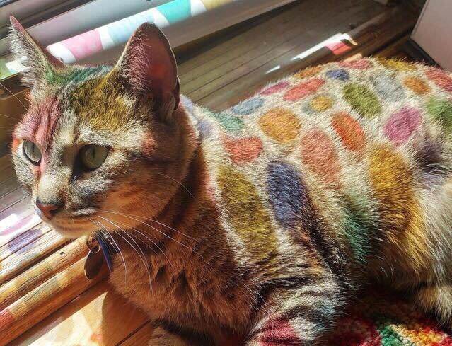 poetical photos. (@poeticalphotos) on Twitter photo 