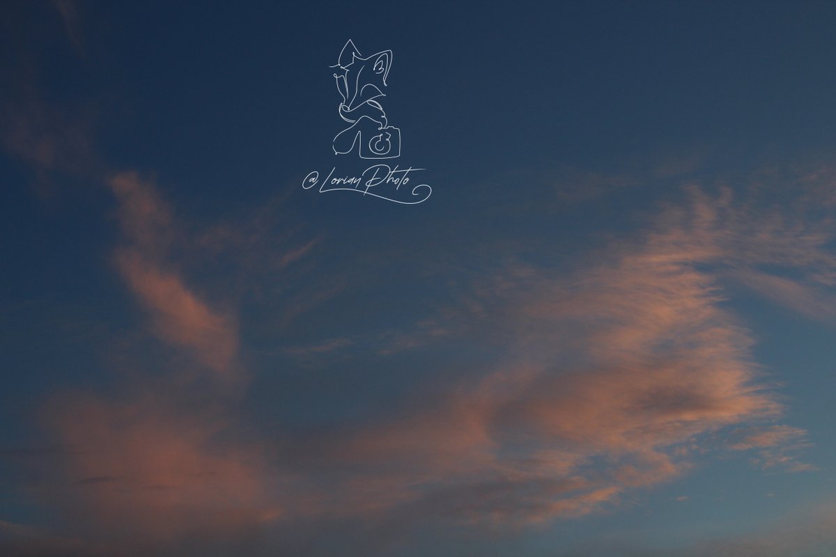 LorianPhoto's tweet photo. 24 Février 2024
#paysage #landscape #ciell #sky #nuage #cloud #photo #photographie #photography #appareilphoto #camera #reflex #dslr #sansretouche #pasderetouche #noretouching #nopostproduction https://t.co/kifyrXGIM9