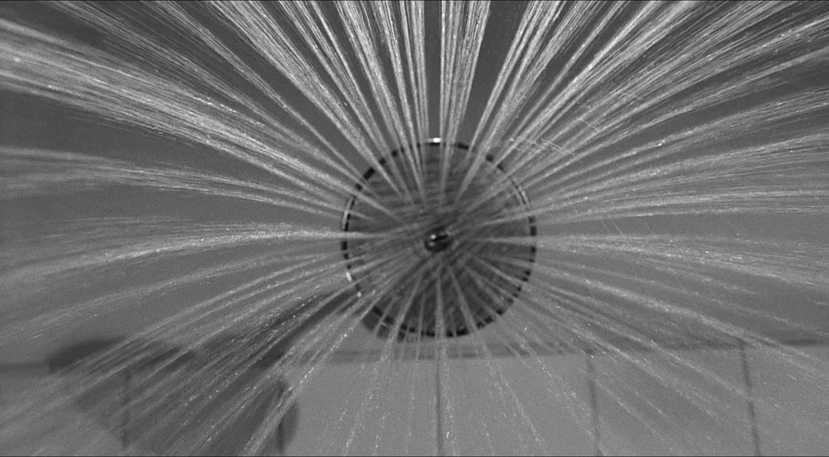 TheCinesthetic's tweet photo. Psycho (1960) dir. Alfred Hitchcock https://t.co/khBiFhPRVP