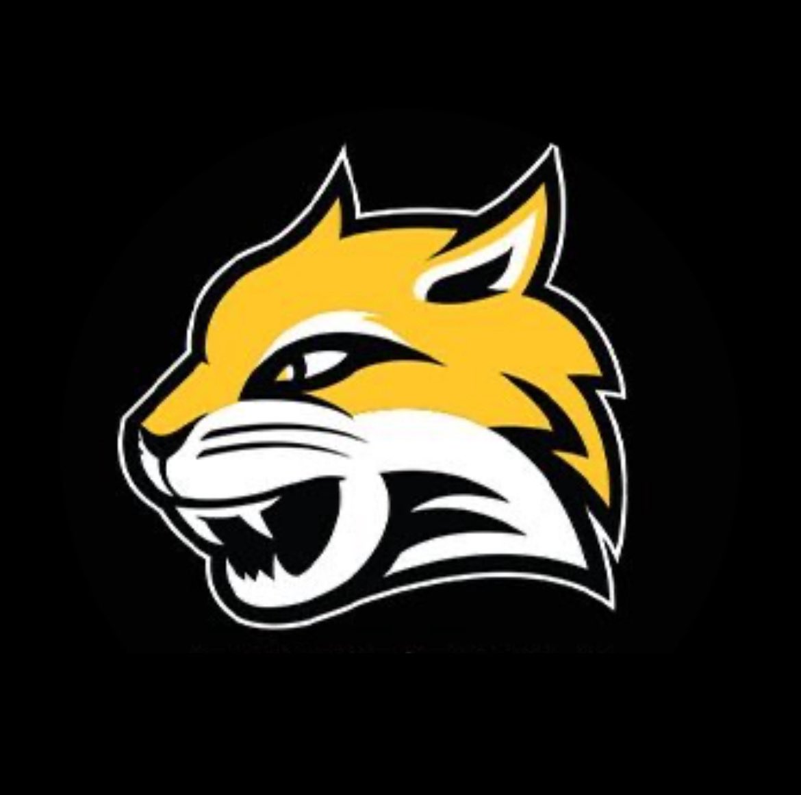 Isaiah Wapelhorst tweet media