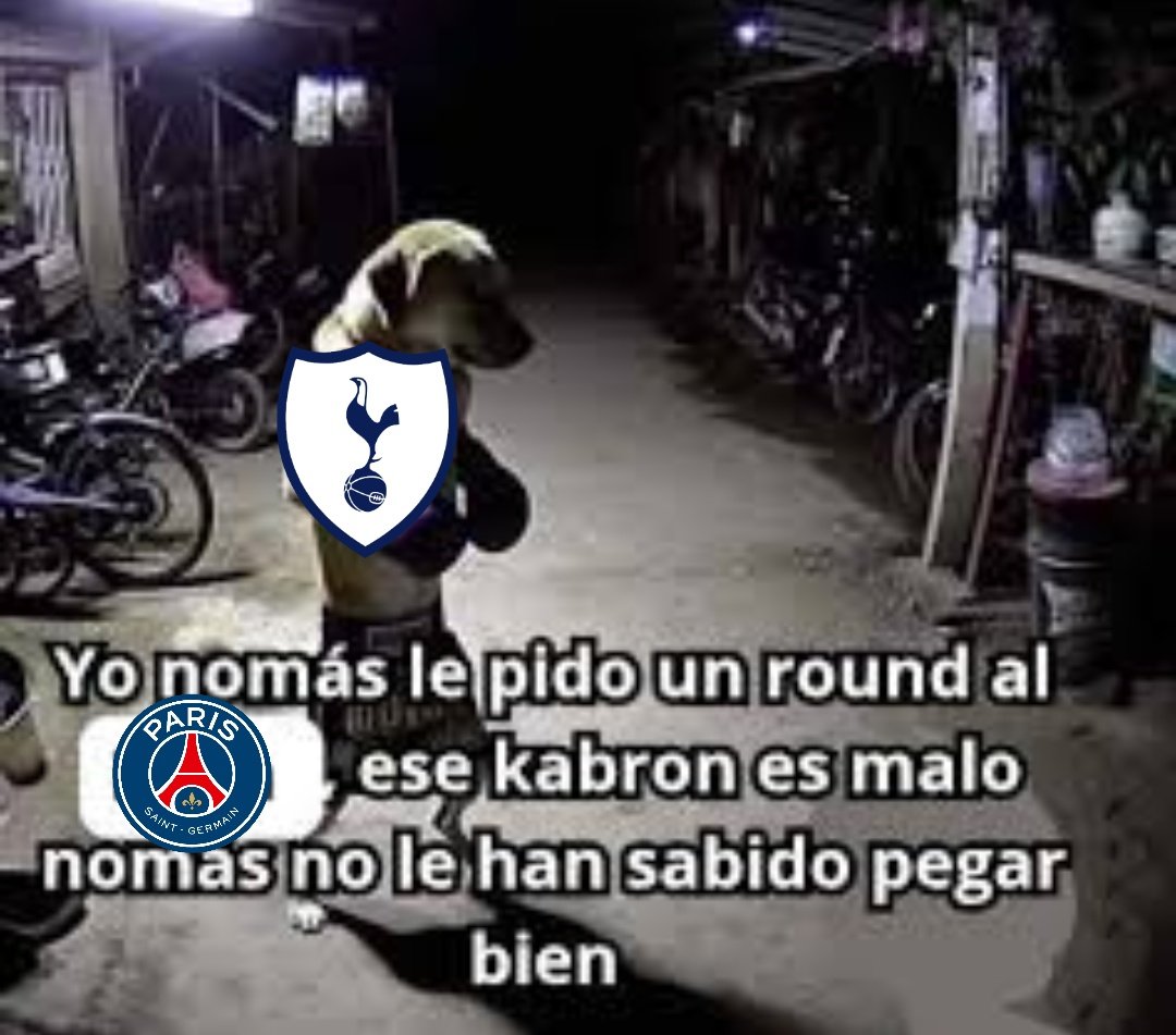 CheTottenham || 🇦🇷🧉 tweet media