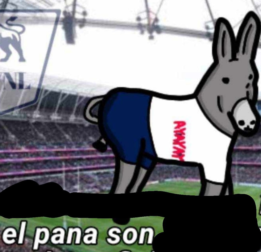 CheTottenham || 🇦🇷🧉 tweet media