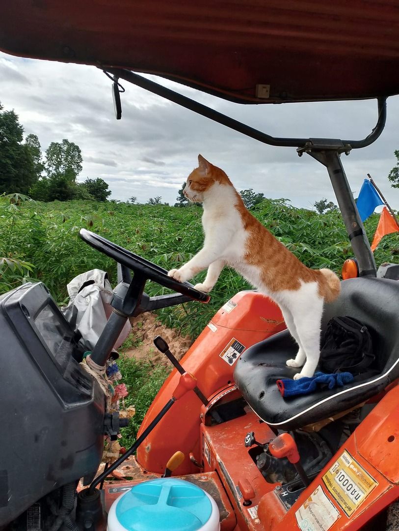 He is certified to drive this vehicle.