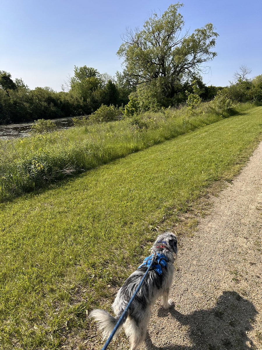 touched grass and obi tried to eat it