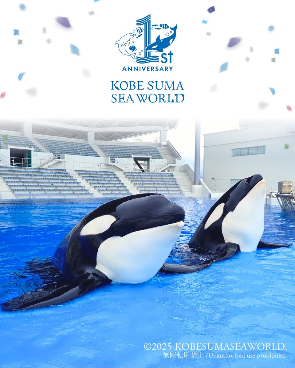 𓆜𓆝━━━━ ありがとう1周年 ━━━━𓆞𓆟 本日6月1日で神戸須磨シー