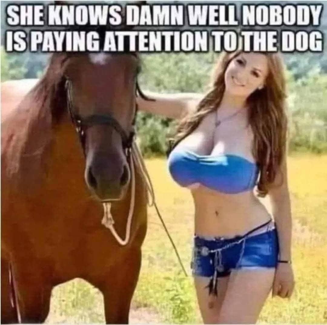 Lucian BUJOR 🇷🇴🇺🇸🇮🇱 | Social activism & 📢 (@lucian_bujor) on Twitter photo 