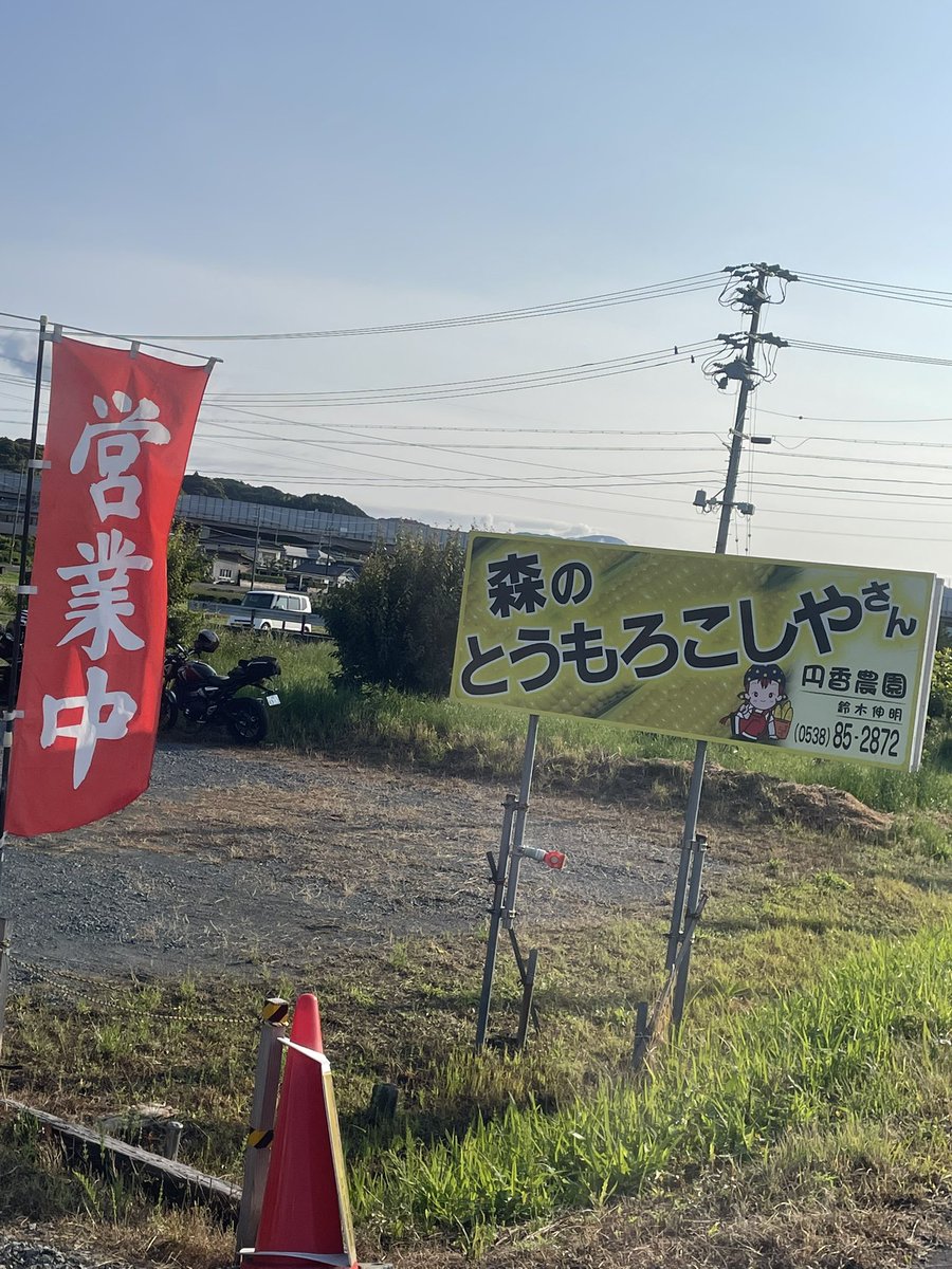 #とうもろこし　#かんかん娘　#甘々娘　#行列　#2時間待った　#おいしい　#経験　#静岡県　#森町