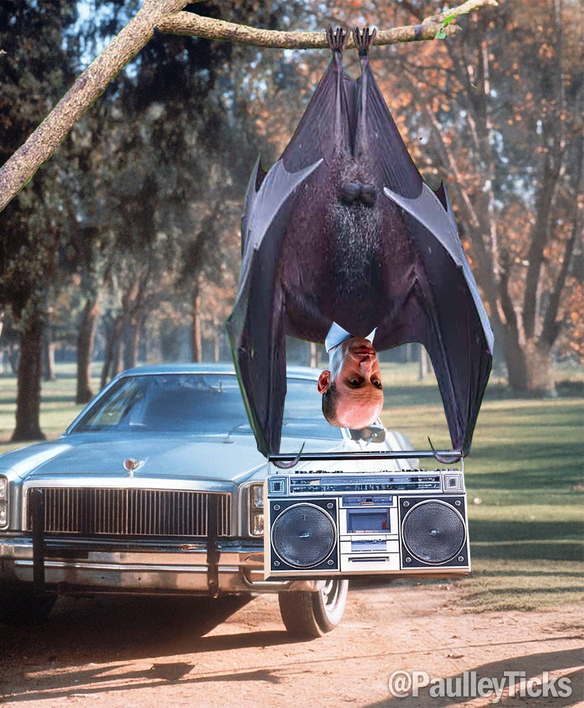Live look at Stephen Miller camped out in front of Elon Musk's house trying to get his wife back.