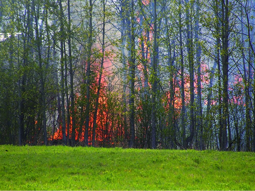 B.C. climate news: Evacuation order for wildfire in B.C.’s Peace River | Swiss glacier collapse renews focus on risks of climate change as glaciers retreat | State of emergency declared in Saskatchewan and Manitoba theprovince.com/news/climate-c…