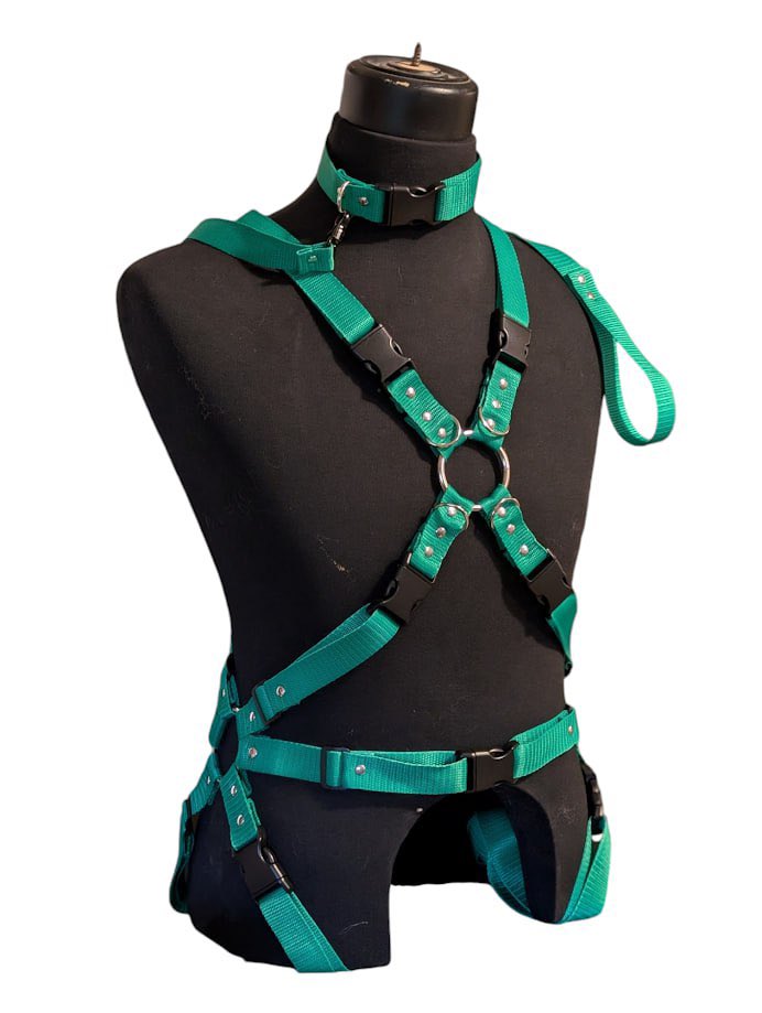 FoxandHoundFurs's tweet image. Sorry we’re a bit late! It’s giveaway time! We are giving away a fullbody harness.

Winner will be selected and posted June 7th at 7pm EST ⏰ 

Make sure you’re following, retweet, and comment what colour you’d get!