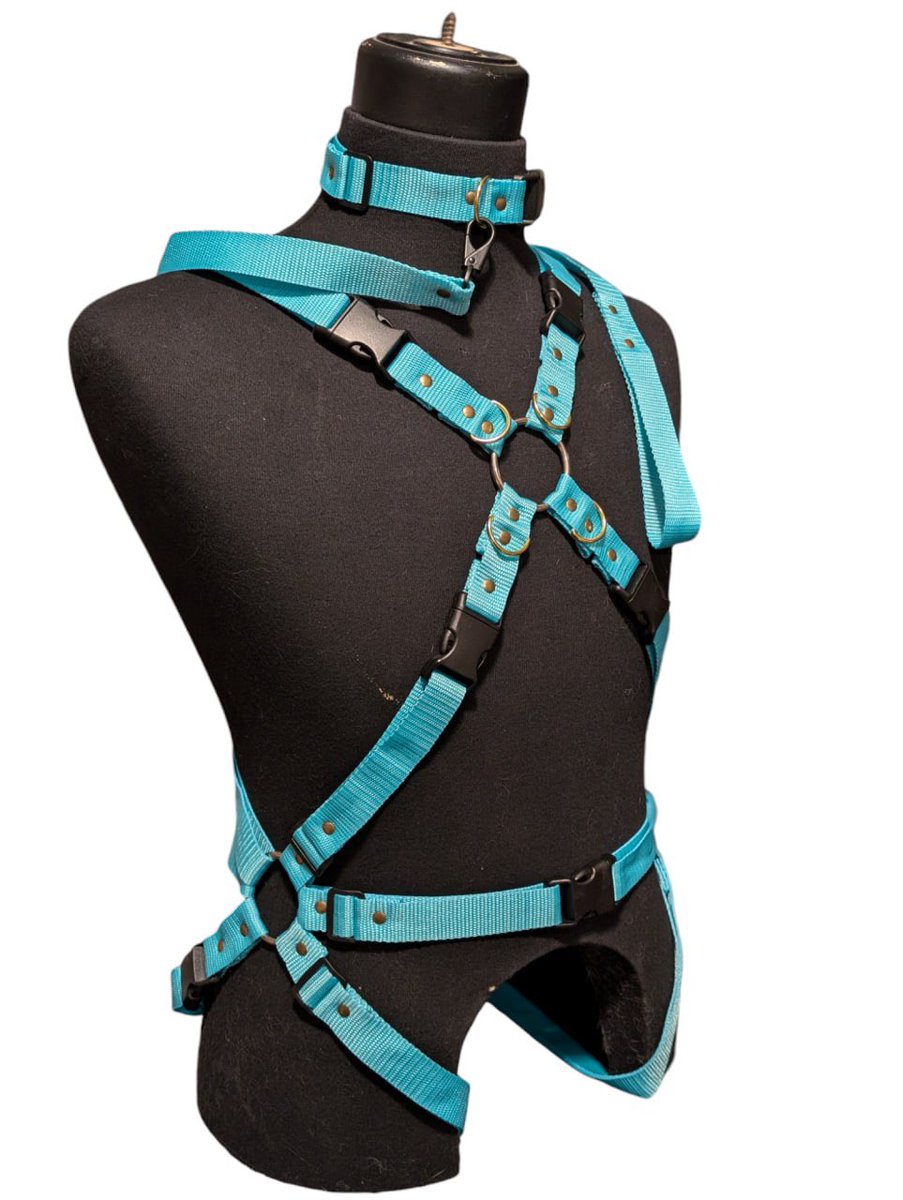 FoxandHoundFurs's tweet image. Sorry we’re a bit late! It’s giveaway time! We are giving away a fullbody harness.

Winner will be selected and posted June 7th at 7pm EST ⏰ 

Make sure you’re following, retweet, and comment what colour you’d get!