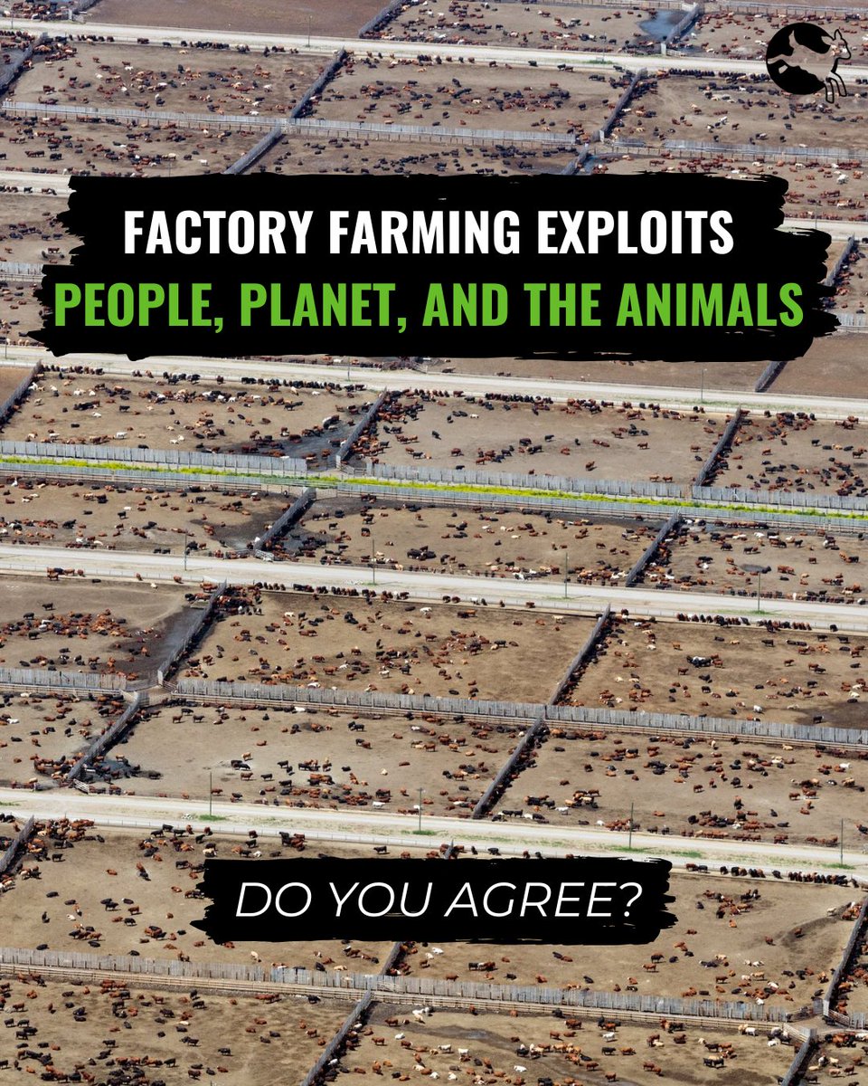 ciwfusa's tweet photo. Do you agree? Let us know in the comments below! 💚 

#endfactoryfarming #comment #betterworld #sustainability #compassion #ciwf https://t.co/UqBuy79CrU