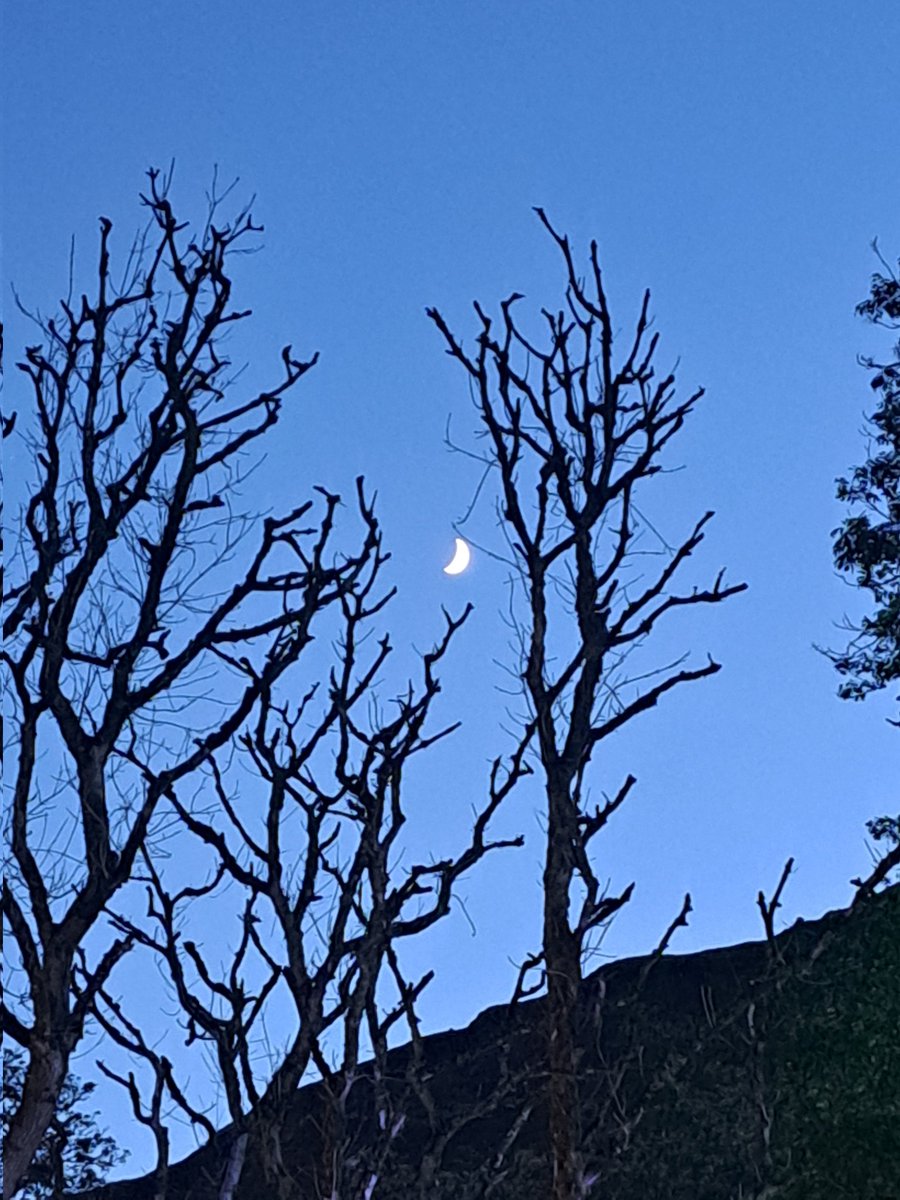Lovely moon over Loch Fyne.