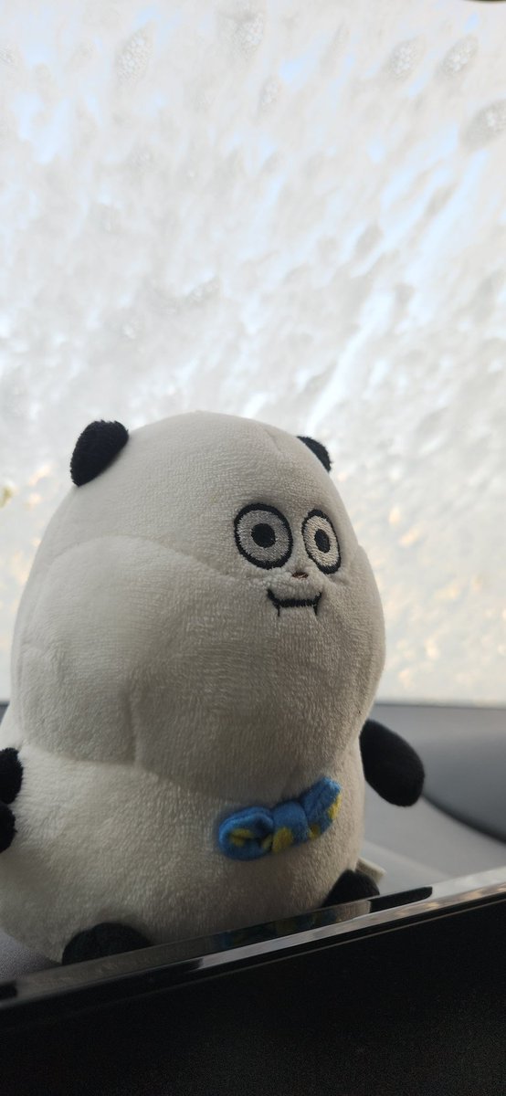 朝から洗車！
愛車をきれいにしてきます✨✨

おでぷﾁｬﾝ🐼『このあとパン屋🥐に行くんだって？』
おねﾁｬﾝ👧『うん💦そう(笑)』