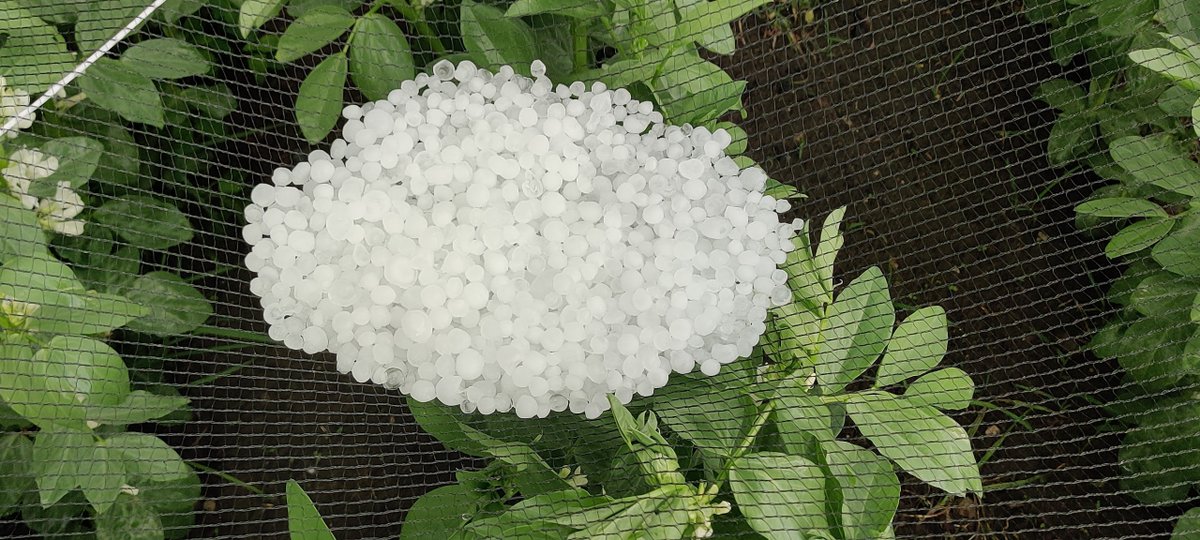 eventhorizon 🦙🌾🐮🚜🏡 tweet media