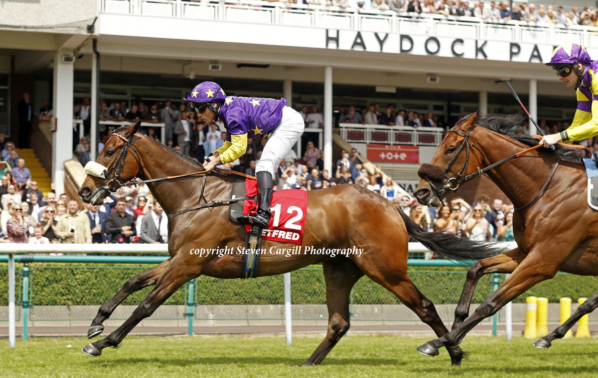 Steven Cargill (@steven_cargill) on Twitter photo 3rd win for 4yo g KODI LION <a href="/FredLar52910179/">Fred Larson</a> in 6f handicap <a href="/haydockraces/">Haydock Park Races</a> today for <a href="/RathbarryStud/">Rathbarry & Glenview</a> Kodi Bear <a href="/MickApplebyUK/">Mick Appleby Racing</a> 3rd win for 4yo g KODI LION <a href="/FredLar52910179/">Fred Larson</a> in 6f handicap <a href="/haydockraces/">Haydock Park Races</a> today for <a href="/RathbarryStud/">Rathbarry & Glenview</a> Kodi Bear <a href="/MickApplebyUK/">Mick Appleby Racing</a>