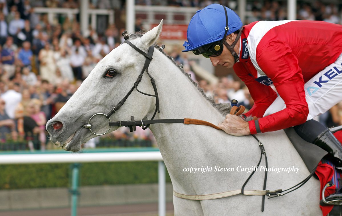 Steven Cargill (@steven_cargill) on Twitter photo Now 3/4, <a href="/CPStudOfficial/">Cheveley Park Stud</a> 4yo ESTRANGE wins 12f fillies G3 Lester Piggott Stakes <a href="/haydockraces/">Haydock Park Races</a> today for <a href="/DarleyEurope/">Darley in Europe</a> Night Of Thunder <a href="/omeararacing/">David O'Meara</a> Now 3/4, <a href="/CPStudOfficial/">Cheveley Park Stud</a> 4yo ESTRANGE wins 12f fillies G3 Lester Piggott Stakes <a href="/haydockraces/">Haydock Park Races</a> today for <a href="/DarleyEurope/">Darley in Europe</a> Night Of Thunder <a href="/omeararacing/">David O'Meara</a>